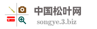 中国松叶网