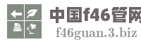 中国f46管网