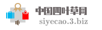 中国四叶草网