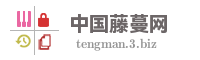 中国藤蔓网