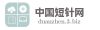 中国短针网