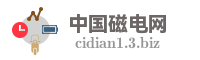 中国磁电网