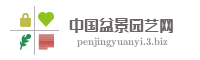 中国盆景园艺网