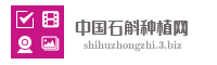 中国石斛种植网