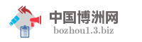 中国博洲网