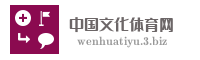 中国文化体育网