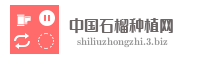 中国石榴种植网