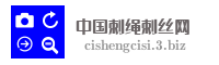 中国刺绳刺丝网