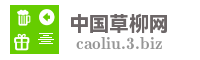 中国草柳网