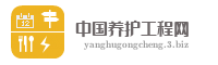 中国养护工程网