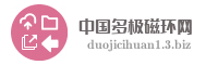 中国多极磁环网