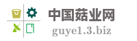 中国菇业网