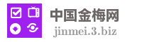 中国金梅网