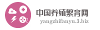 中国养殖繁育网