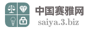 中国赛雅网