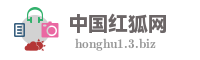 中国红狐网