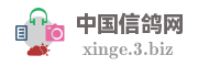 中国信鸽网