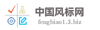 中国风标网