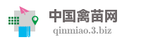 中国禽苗网