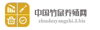 中国竹鼠养殖网