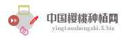 中国樱桃种植网