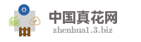中国真花网