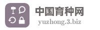 中国育种网
