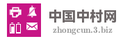 中国中村网