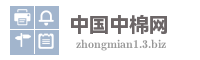 中国中棉网