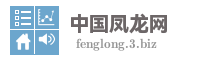 中国凤龙网