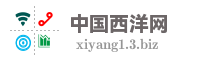 中国西洋网