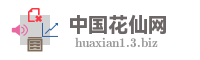 中国花仙网
