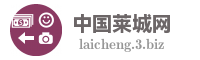 中国莱城网