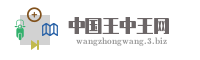 中国王中王网