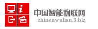 中国智能物联网