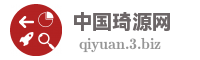 中国琦源网