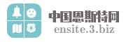 中国恩斯特网