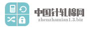 中国针轧棉网