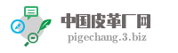 中国皮革厂网