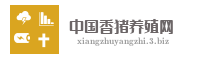 中国香猪养殖网