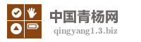 中国青杨网