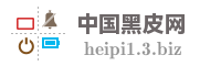 中国黑皮网