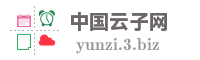 中国云子网