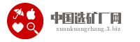 中国选矿厂网