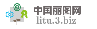 中国丽图网