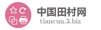 中国田村网