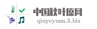 中国秋叶原网
