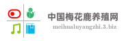 中国梅花鹿养殖网