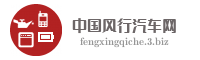 中国风行汽车网