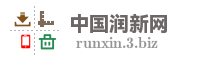 中国润新网